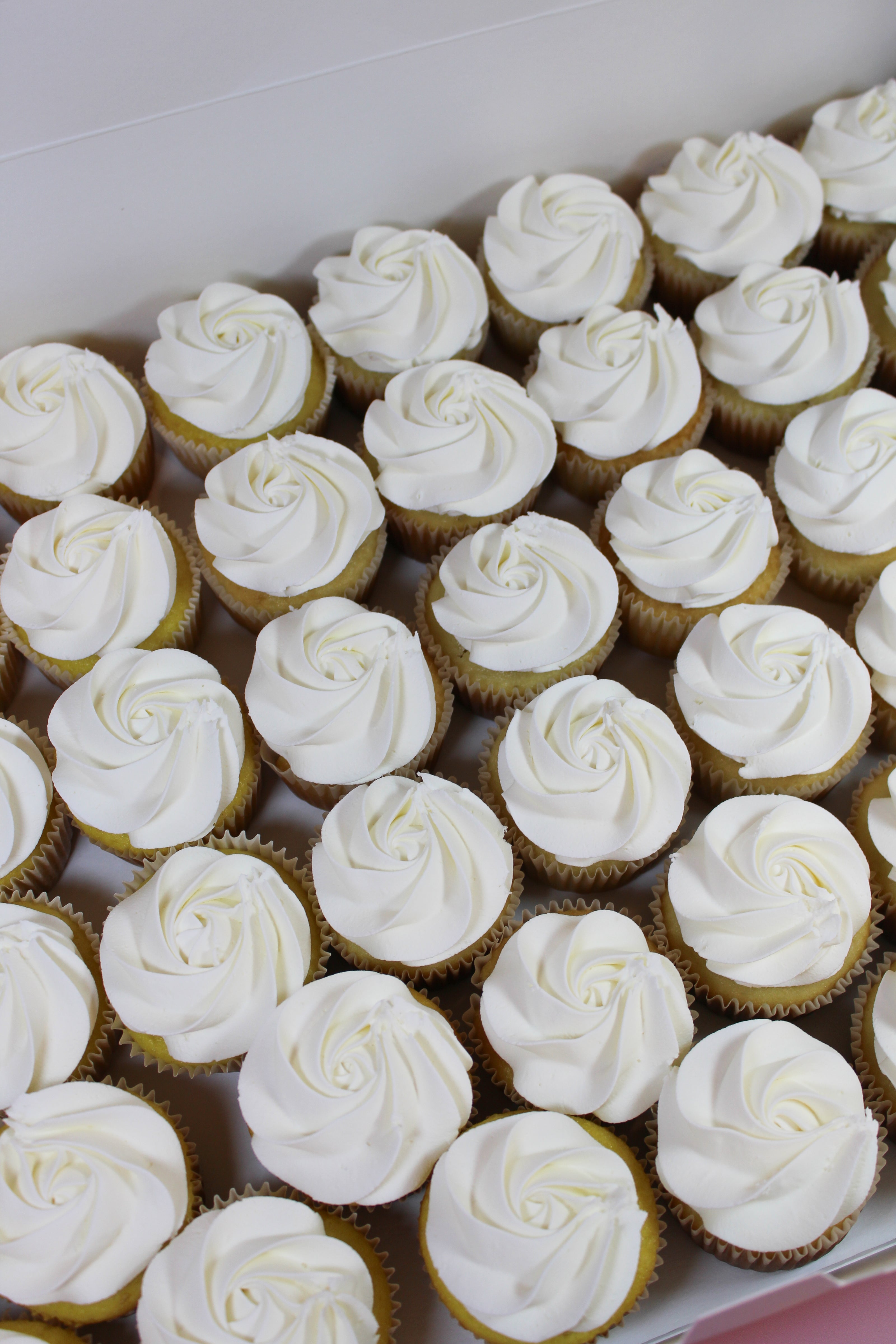 Row of cupcakes with white frosting in a box